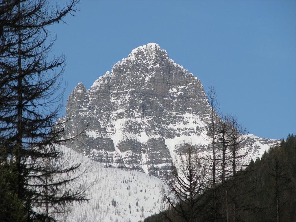 Glacier Haven Inn Pinnacle Eksteriør billede